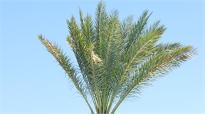 P1010600